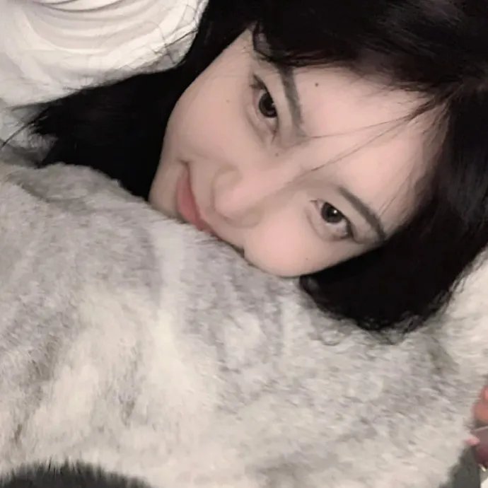 热播首选
